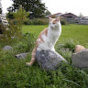 Meet your Posher, Lynn